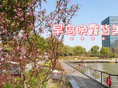 -南翔镇银翔湖公园