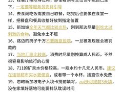 -圣淘沙天际线斜坡滑车