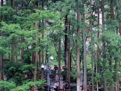 -雁荡山大龙湫景区