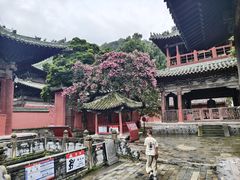 -报恩寺(平武县)