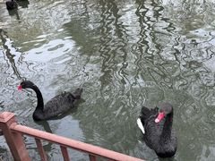 -济南野生动物世界