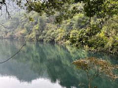 -鼎湖山风景区