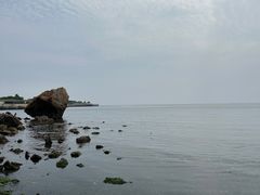 -黑石礁公园