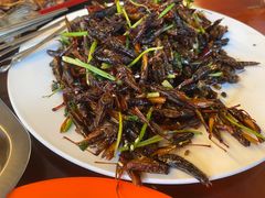 飞蝗卷饼-凤凰岭蒙古包风味餐厅