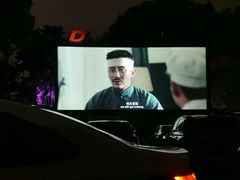 -枫花园汽车电影院(朝阳公园店)