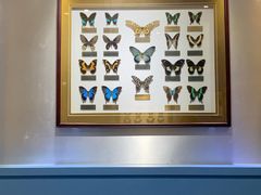 -上海昆虫博物馆