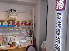 -爱洗澡的猫(望京店)