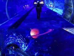 -正佳雨林生态植物园