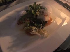 -迪拜帆船酒店海底餐厅