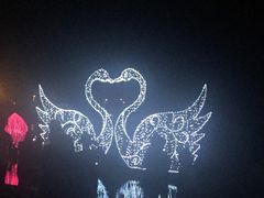 -杭州湾海上花田景区