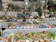 -循礼门鲜花花市(武汉循礼门店)