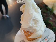 -野人牧坊Gelato(天津南开大悦城店)