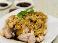 -百利鸽王(紫薇路店)