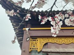 -莲湖公园