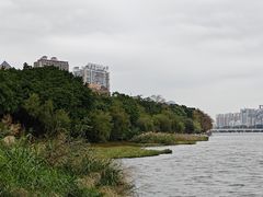 -南宁南湖公园