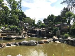 -东莞植物园