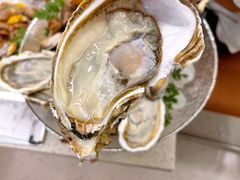 嫩滑乳山生蚝-白仁仔· 活烤海鲜 宵夜(豫园店)