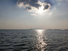 -苏州太湖湖滨国家湿地公园