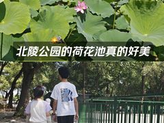 -北陵公园