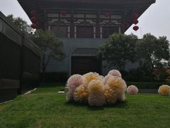 -唐城墙遗址公园