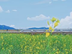 -光明小镇欢乐田园