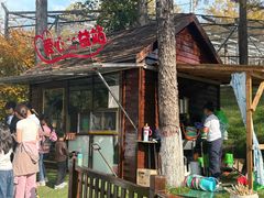 -横道河子东北虎林园