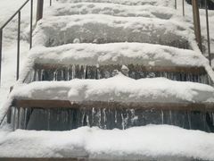 -青峰峡国家森林公园