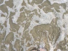 -北海金海湾红树林生态旅游区