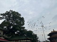 -南华禅寺