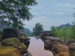 -铁山坪森林公园