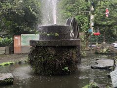 -海口火山口国家地质公园