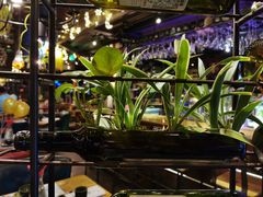 -胡桃里乐队酒馆(鎏嘉码头店)