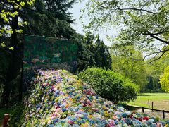 -上海共青森林公园