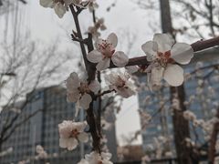 -雍和宫(地铁站)