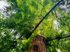 -国家植物园南园