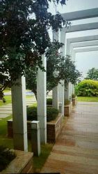 点击看大图 -英芬国际月子中心(岛屿度假月子·洲至奢选香岚店)