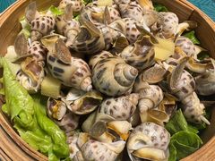 白灼花螺-浙C老邻舍(西城海错店)