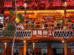 -海南槟榔谷黎苗文化旅游区