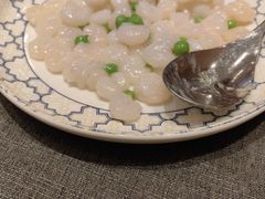 -新吉士·上海菜(浦东LCM置汇旭辉店)