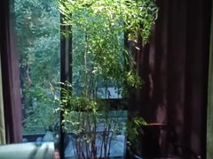 -王府茶宴(大观园总店)