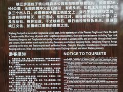 -铁山坪森林公园