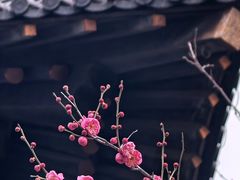 -广富林宰相府酒店·水云间