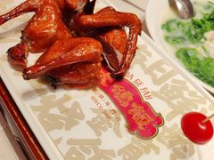 -大鸽饭(岗顶店)