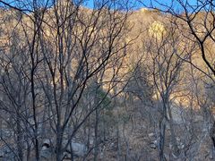 -北京鹫峰国家森林公园