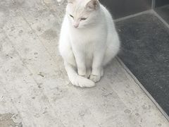 -欢乐季(南城店)