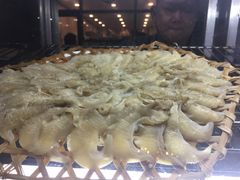 -大中鱼翅 Taitong Shark Fin
