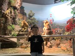 -陕西自然博物馆