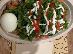 -油梨树 AVOCADO TREE(亮马桥店)