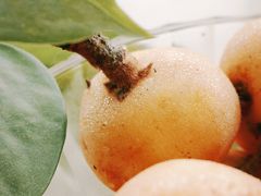 -东山风景区(洞庭东山)