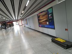 -桃浦新村(地铁站)